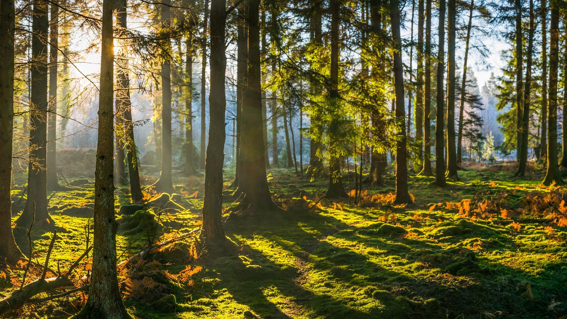 duurzaam communiceren met aroma communicatie